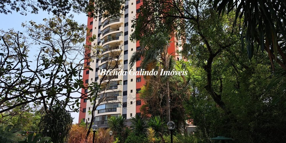 1. Área Preservada (2)