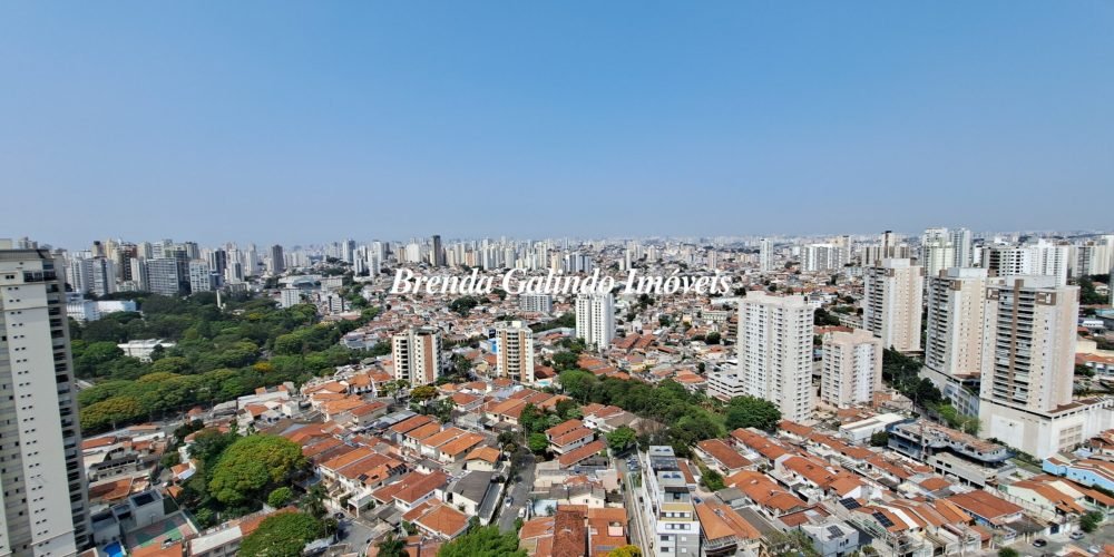 17. Vista