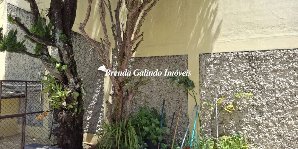30. Quintal Fundos (3)