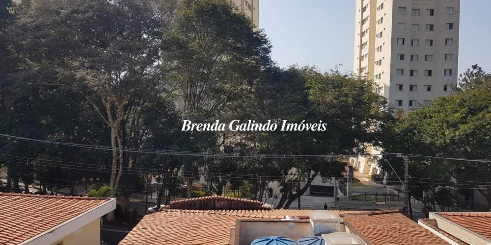 9. Vista do Fundo